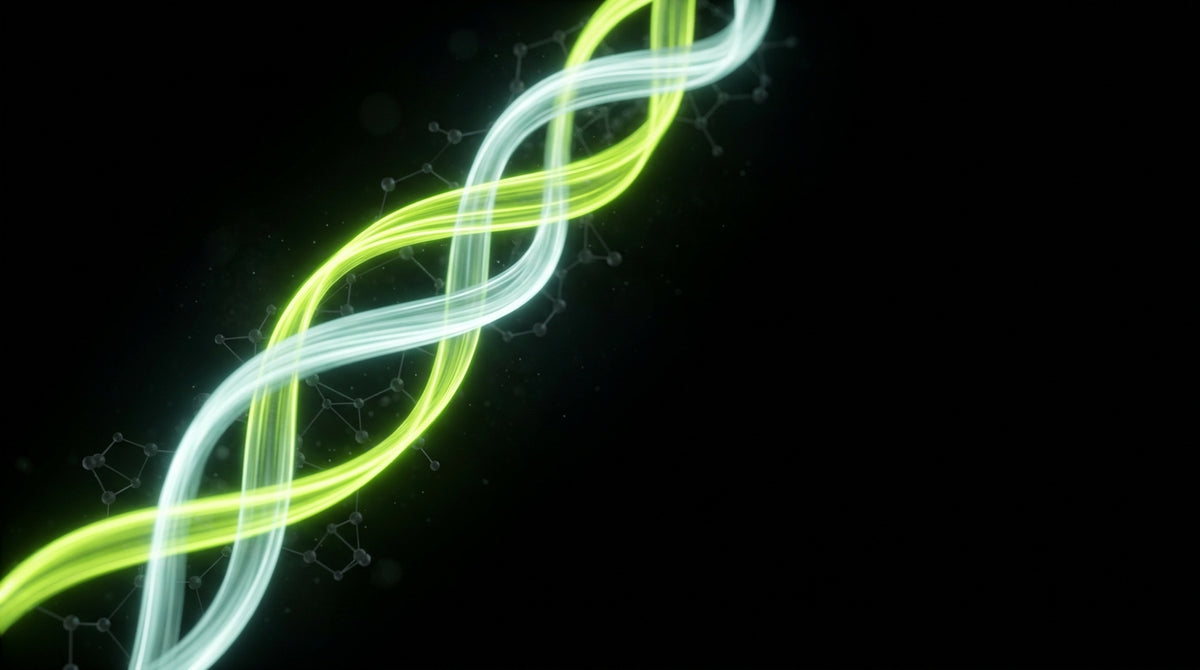 Two intertwining energy streams representing caffeine and L-theanine
