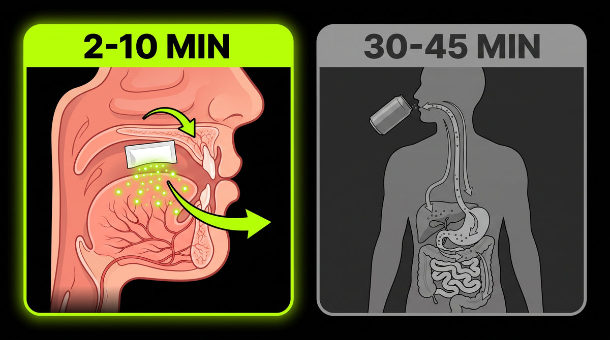 How FEINE absorbs through your gum compared to a drink